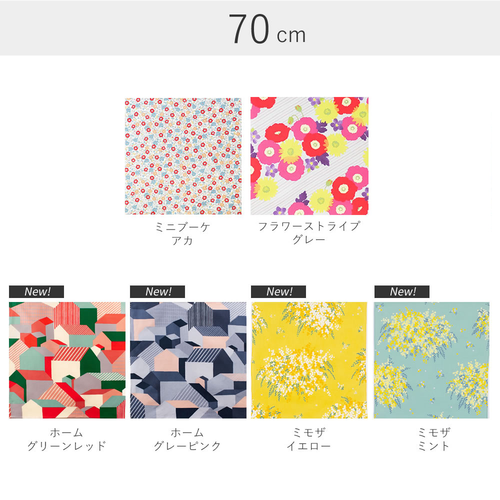 70 こはれ【帯付】